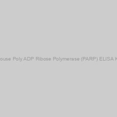 Image of Mouse Poly ADP Ribose Polymerase (PARP) ELISA Kit